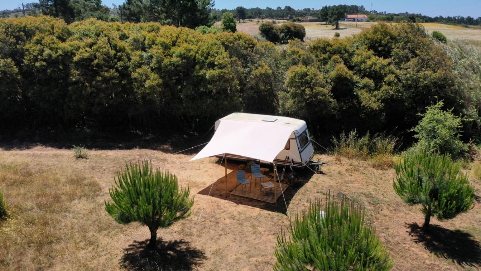 Hotel Cosy Nest In Animal Rescue Monte Dos Vagabundos São Teotónio Exterior foto